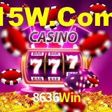 8636Win